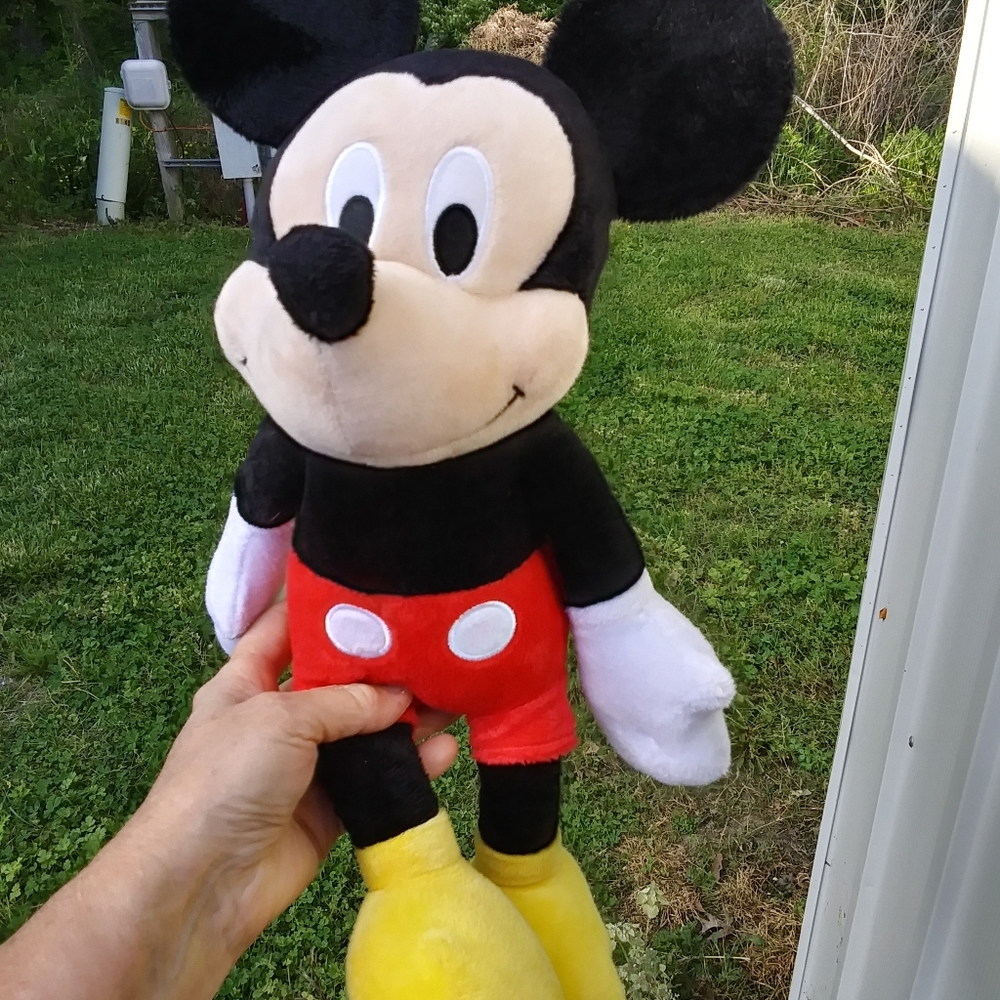 Mickey mouse
